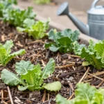 5 Ways to Save Water in Your Garden Naturally
