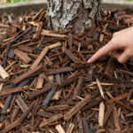 7 Mulching Mistakes That Sabotage Your Soil Health