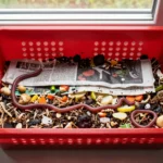 7 Steps to Start a Worm Bin for Fertile Vermicompost