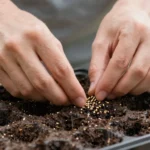8 Critical Errors in Indoor Seed Starting and How to Fix Them