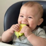 Baby-Led Weaning vs. Purees: The Real Difference That Actually Matters