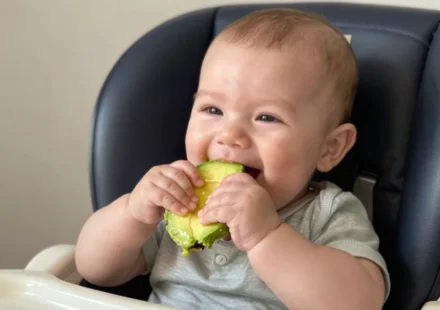 Baby-Led Weaning vs. Purees: The Real Difference That Actually Matters