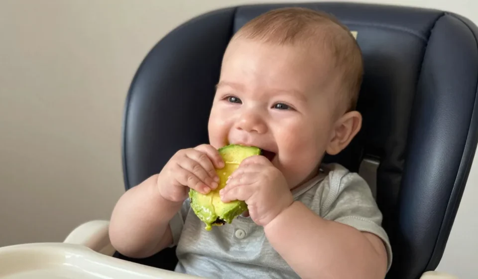 Baby-Led Weaning vs. Purees: The Real Difference That Actually Matters Baby-Led Weaning vs. Purees: The Real Difference That Actually Matters