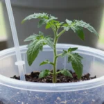 Build a Self-Watering Container Garden: Effortless DIY for the Lazy Gardener