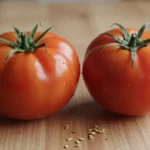Heirloom Seeds vs Hybrids: A Gardener’s Guide to Making the Right Choice