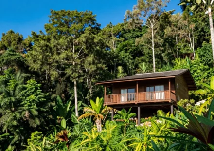 How to Plan a Low-Carbon Vacation: Destinations and Tips