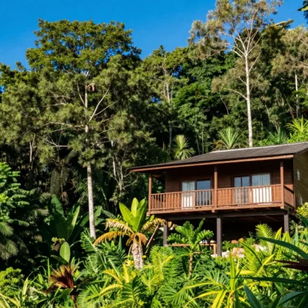 How to Plan a Low-Carbon Vacation: Destinations and Tips How to Plan a Low-Carbon Vacation: Destinations and Tips
