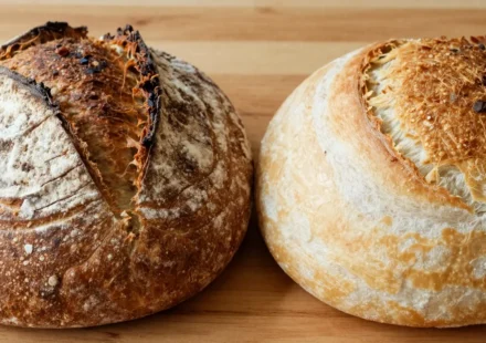 Sourdough vs. Commercial Yeast Bread: Which One Nourishes You Best?