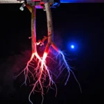 Space Farming Without Dirt: The Incredible Science of Growing Plants in Microgravity
