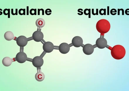 Squalane vs. Squalene: Which Moisturizing Ingredient Truly Hydrates Your Skin?
