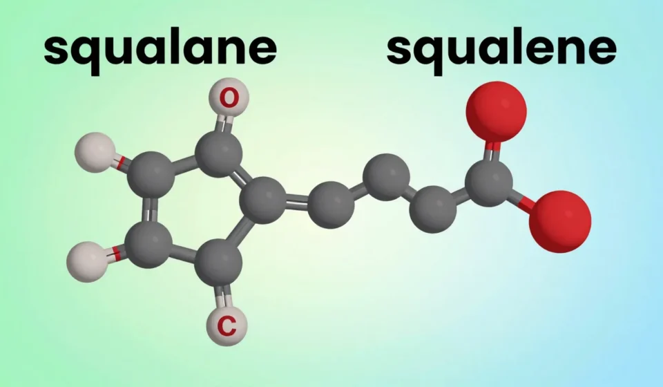 Squalane vs. Squalene: Which Moisturizing Ingredient Truly Hydrates Your Skin? Squalane vs. Squalene: Which Moisturizing Ingredient Truly Hydrates Your Skin?