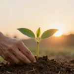 Start Small, Win Big: The Micro-Habit Method for Lasting Personal Growth