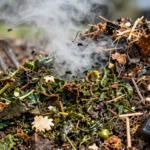 Top 5 Composting Blunders and How to Fix Them for Perfect Soil