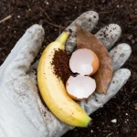 Turn Your Leftovers into Gold: A Hands-On Guide to Composting Kitchen Scraps