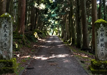 Whispers of Cedar: A Temple Stay on Kumano Kodo’s Forgotten Path