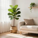 Why Greenery Is the Smartest Decor Move You’ll Ever Make